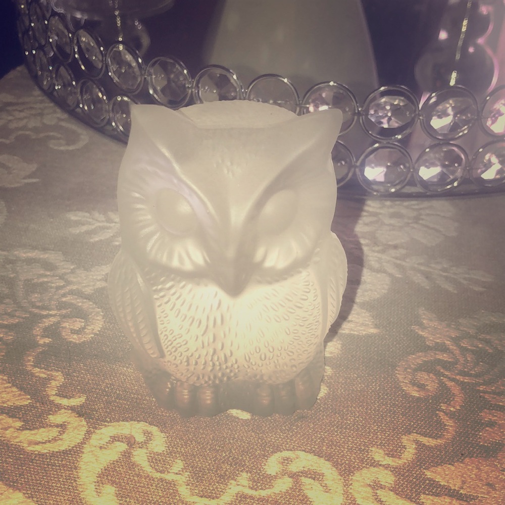 Beautiful Solid Owl Paper Weight 🦉
